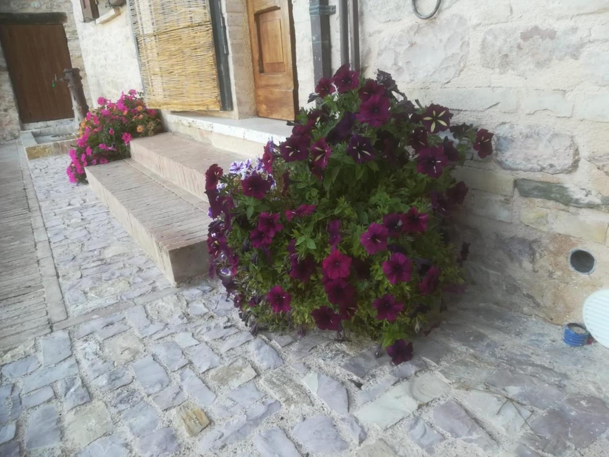 La Casa Della Maestra Localita San Giovanni * Spello