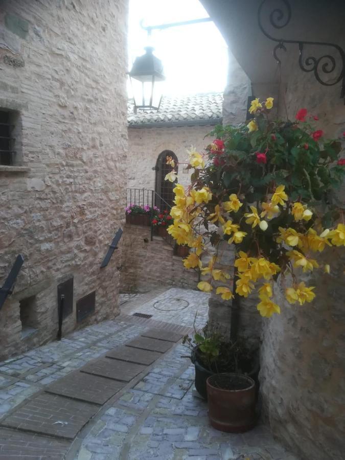 La Casa Della Maestra Localita San Giovanni Apartment Spello