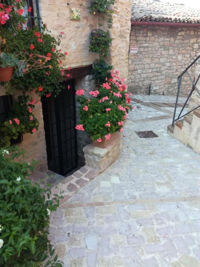 La Casa Della Maestra Localita San Giovanni Spello